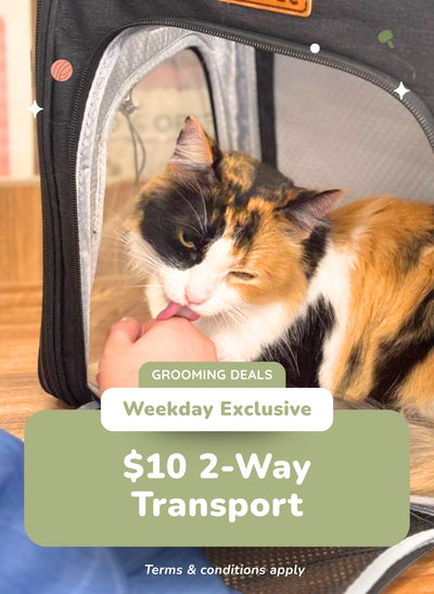$10 2-Way Transport