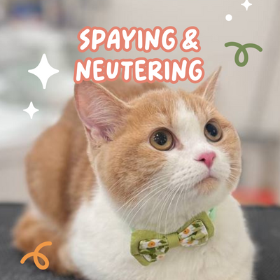 Spaying & Neutering