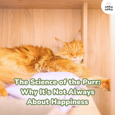 The Science of the Purr: Why It's Not Always About Happiness