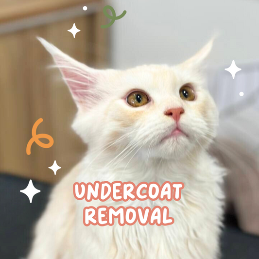 Undercoat Removal