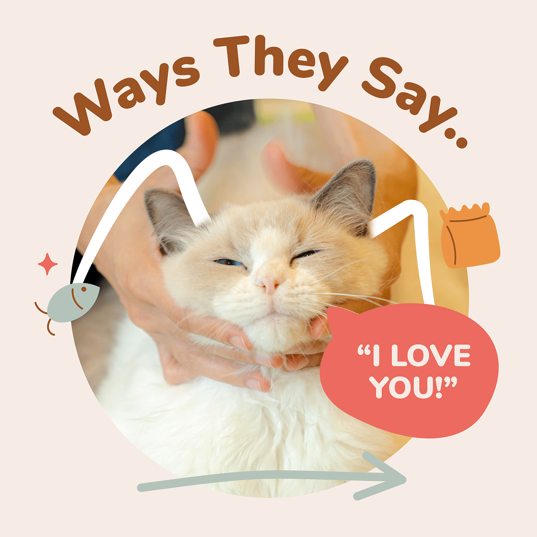 How do cats say "I Love You"? 🐱💌