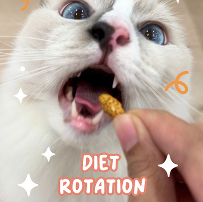 Diet Rotation