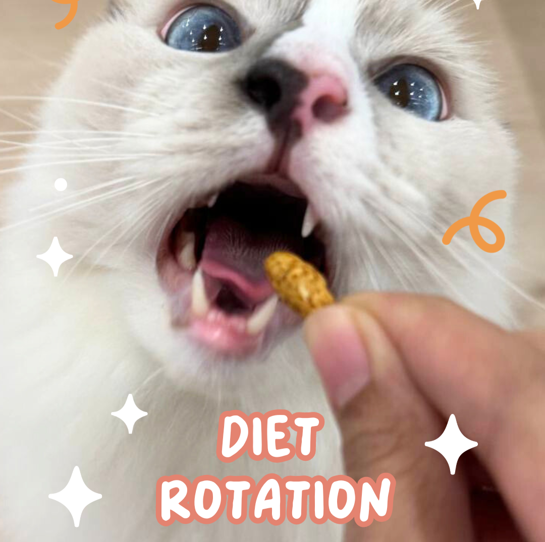 Diet Rotation – Neko Neko