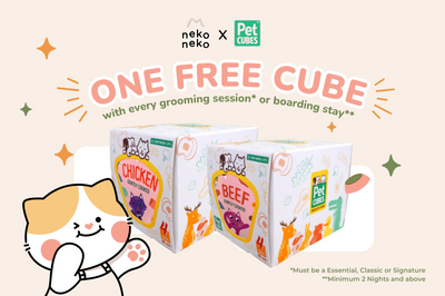 FREE PetCubes: Gently Cooked Meals