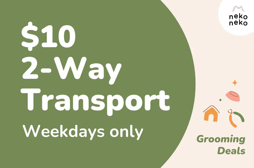 $10 2-Way Transport