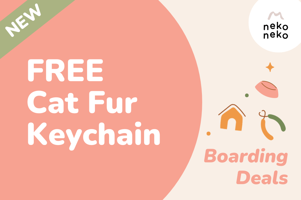 Free Cat Fur Keychain