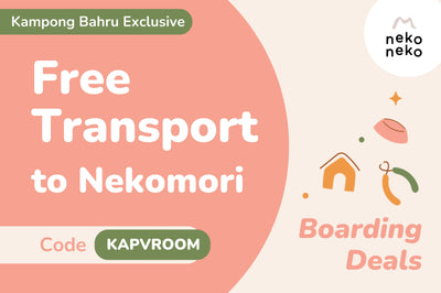FREE Transport to Nekomori