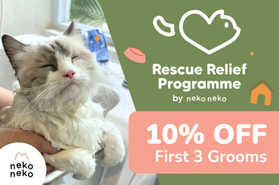 Rescue Relief Programme Special: 10% OFF First 3 Grooming Sessions