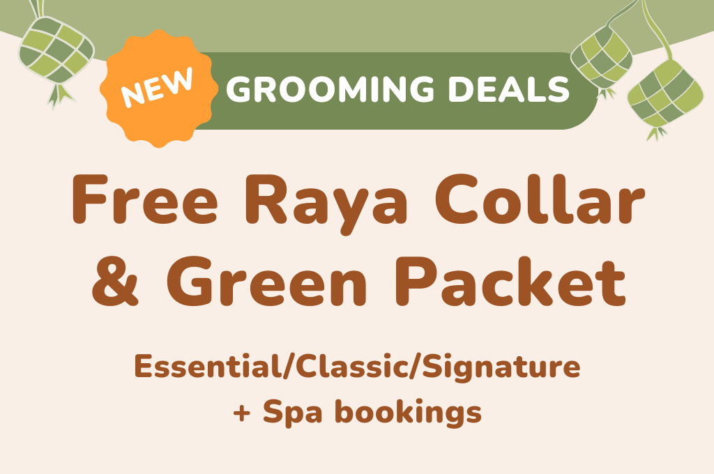 Raya Special: Seri Raya, Seri Si Manja