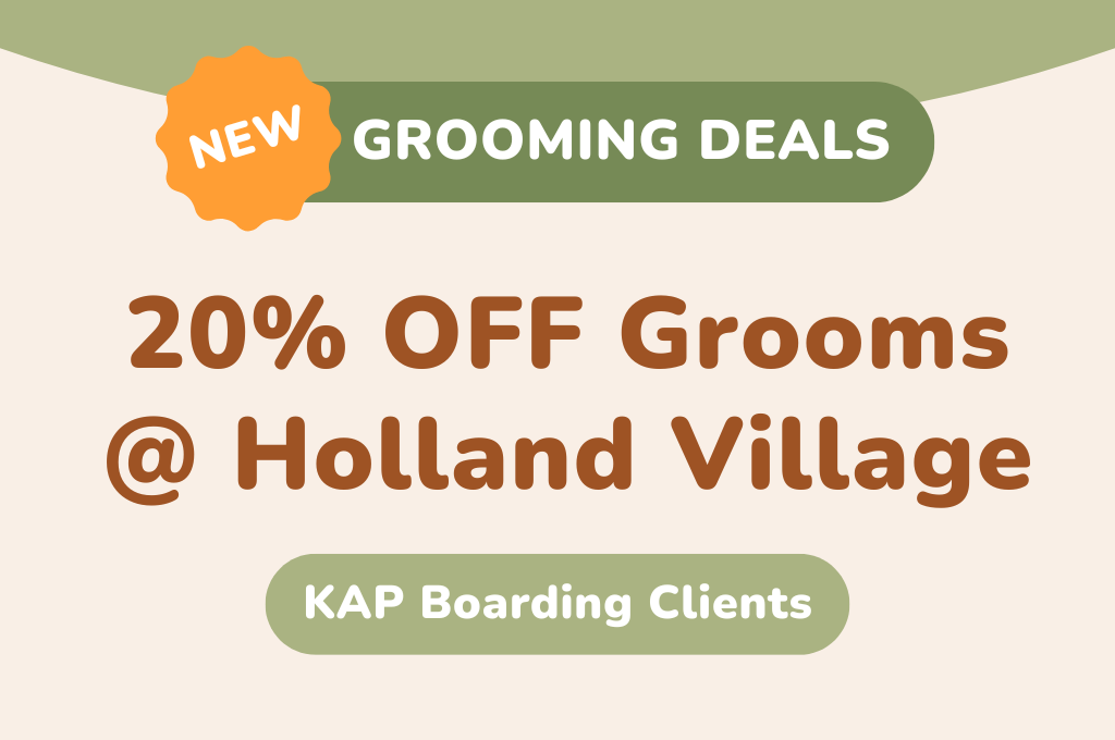 20% OFF Grooms at Holland Village (KAP Customers)