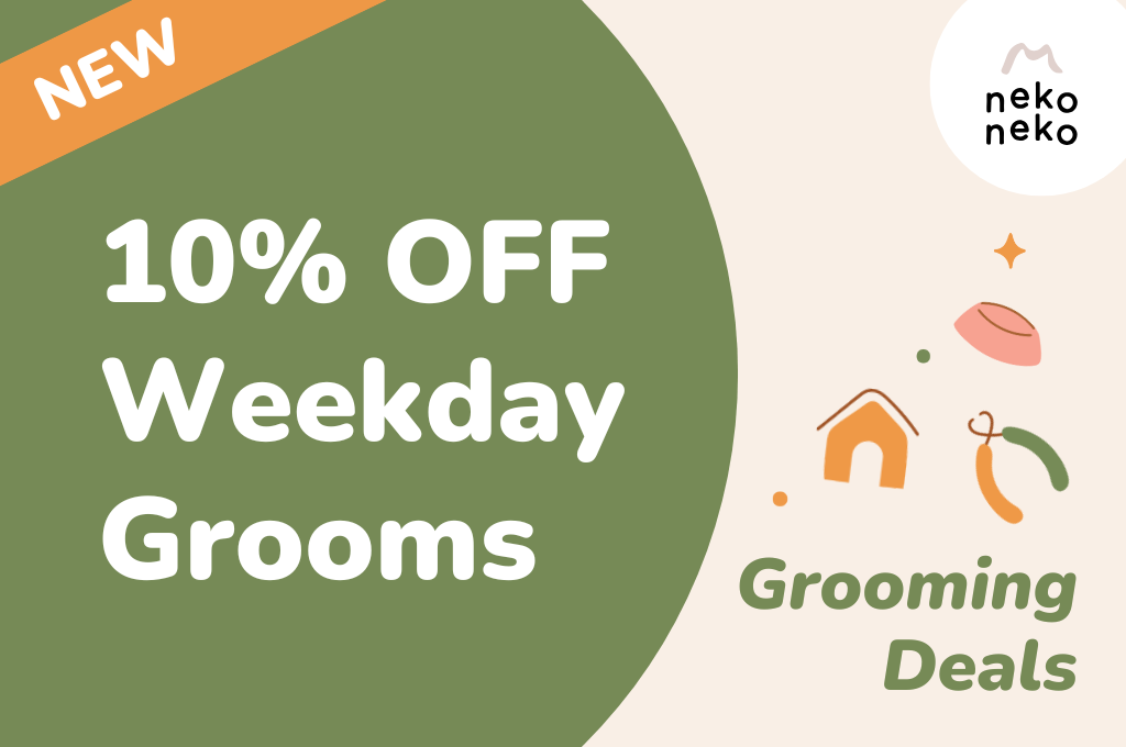 10% OFF Weekday Grooms