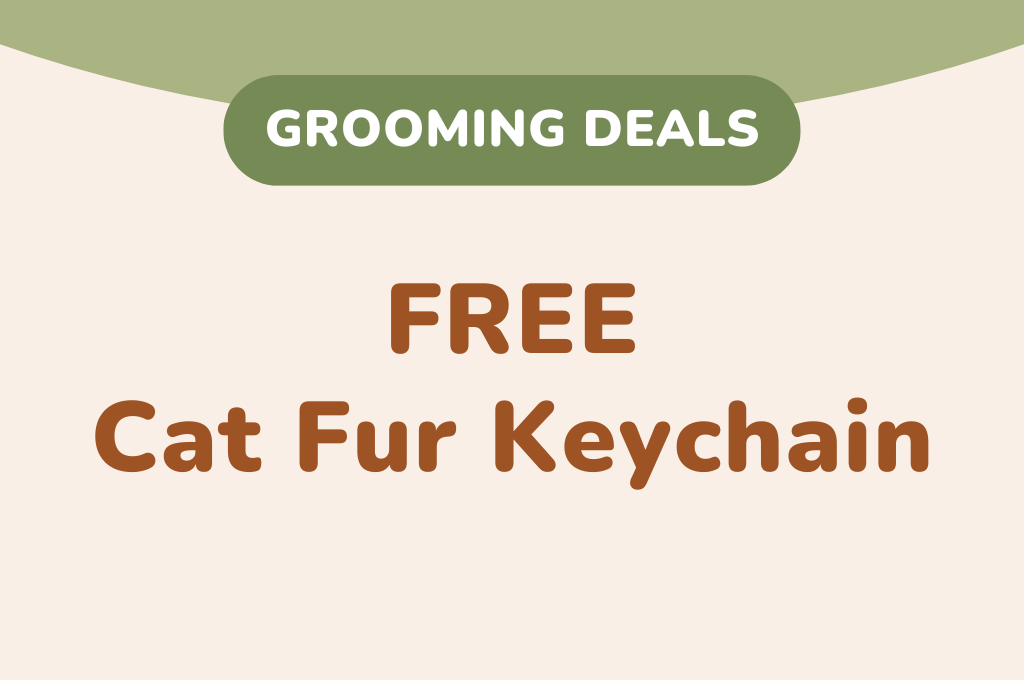FREE Cat Fur Keychain