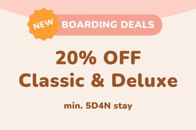 20% OFF Classic & Deluxe Cabins