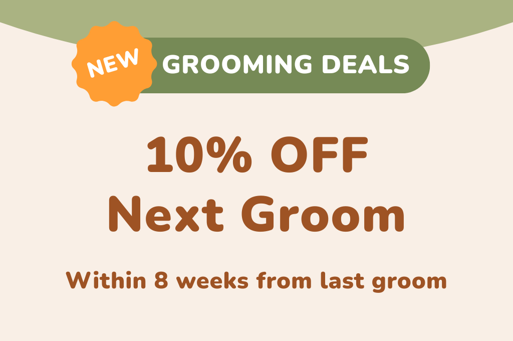 10% OFF Next Groom (<8 weeks)