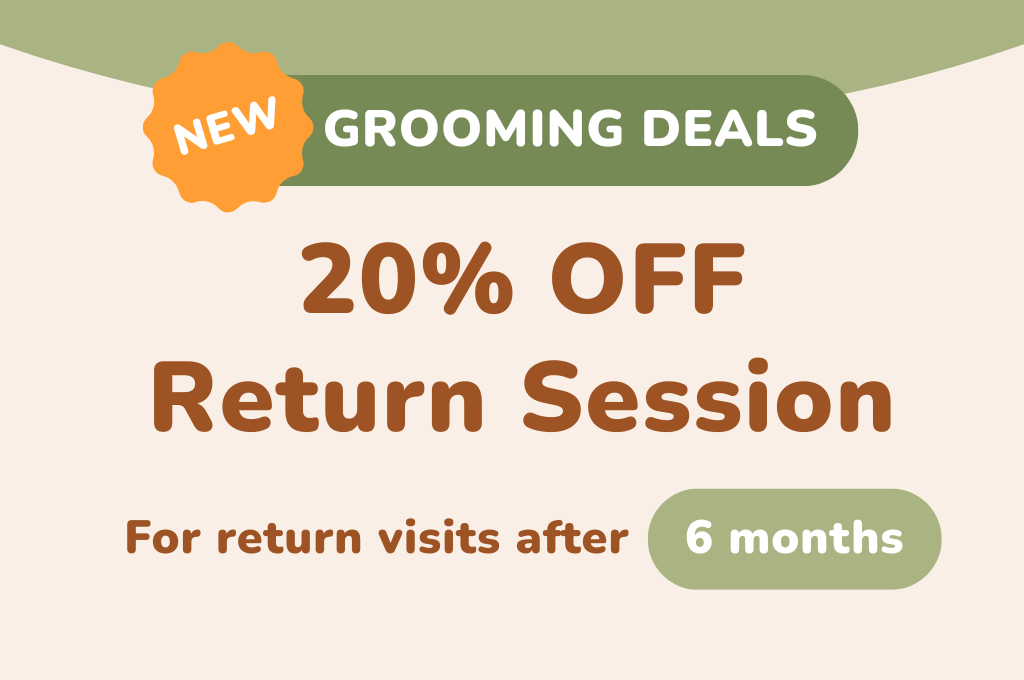20% OFF Return Session (6 months)