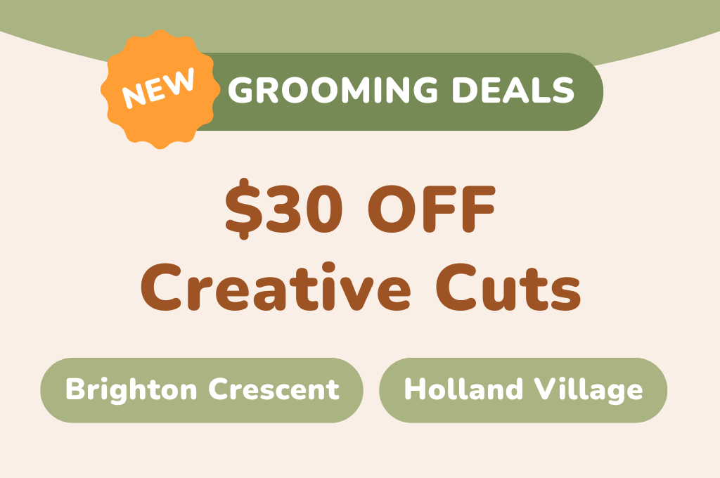 $30 OFF Creative Cuts