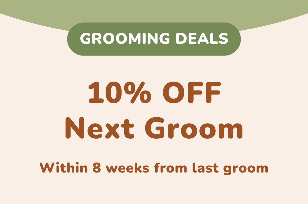 10% OFF Next Groom (<8 weeks)