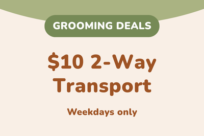 $10 2-Way Transport