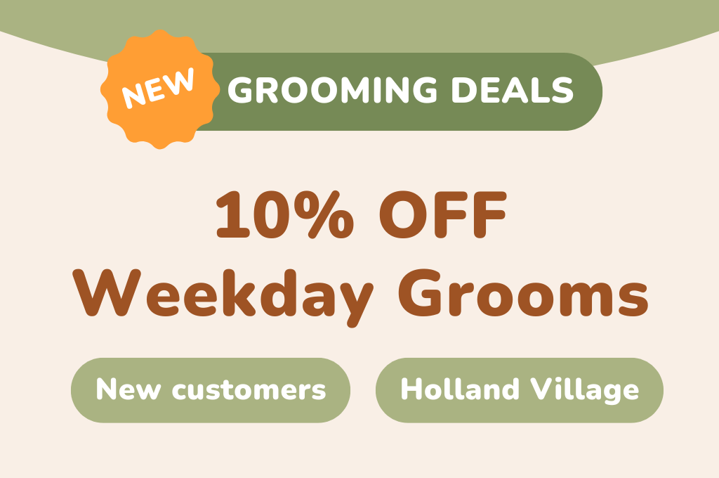 10% OFF Weekday Grooms