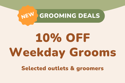 10% OFF Weekday Grooms
