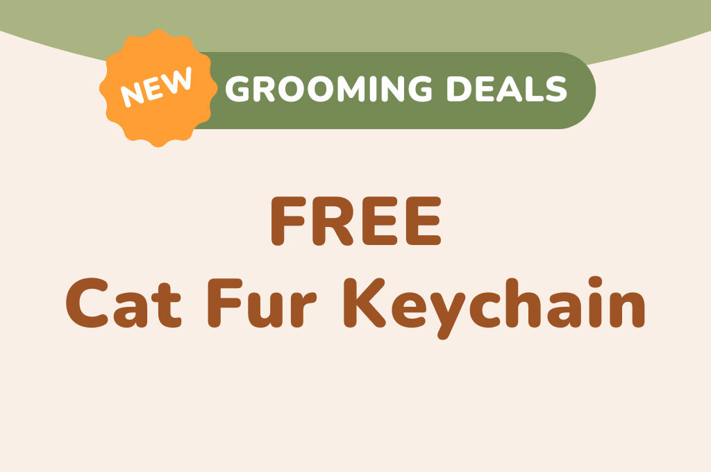 FREE Cat Fur Keychain