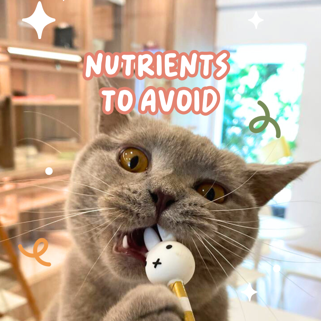 Nutrients to Avoid