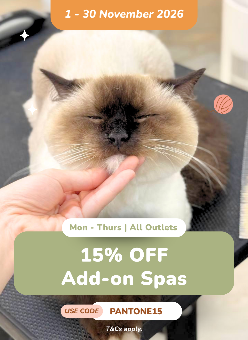 15% OFF Add-on Spa for Colorpoint Cats
