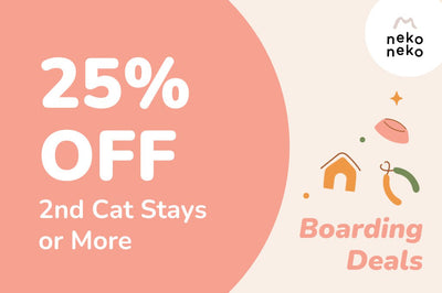 25% OFF 2nd Cat Stays