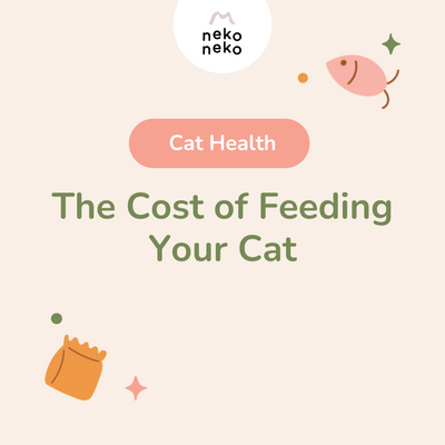 The cost of feeding your cat