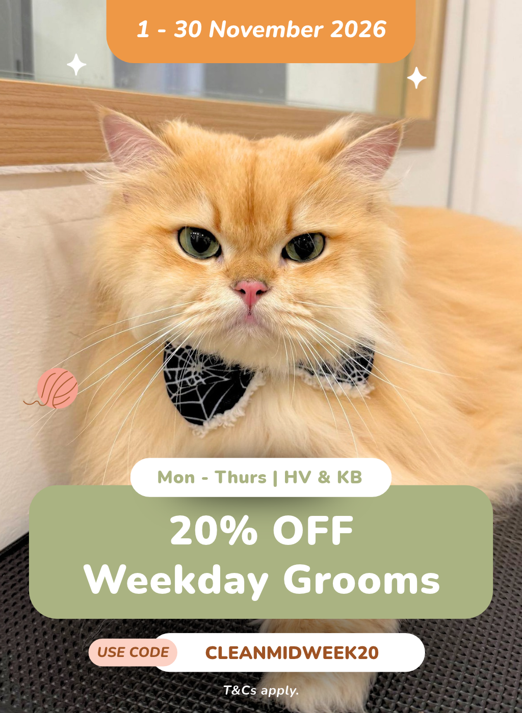 20% OFF Weekday Grooms