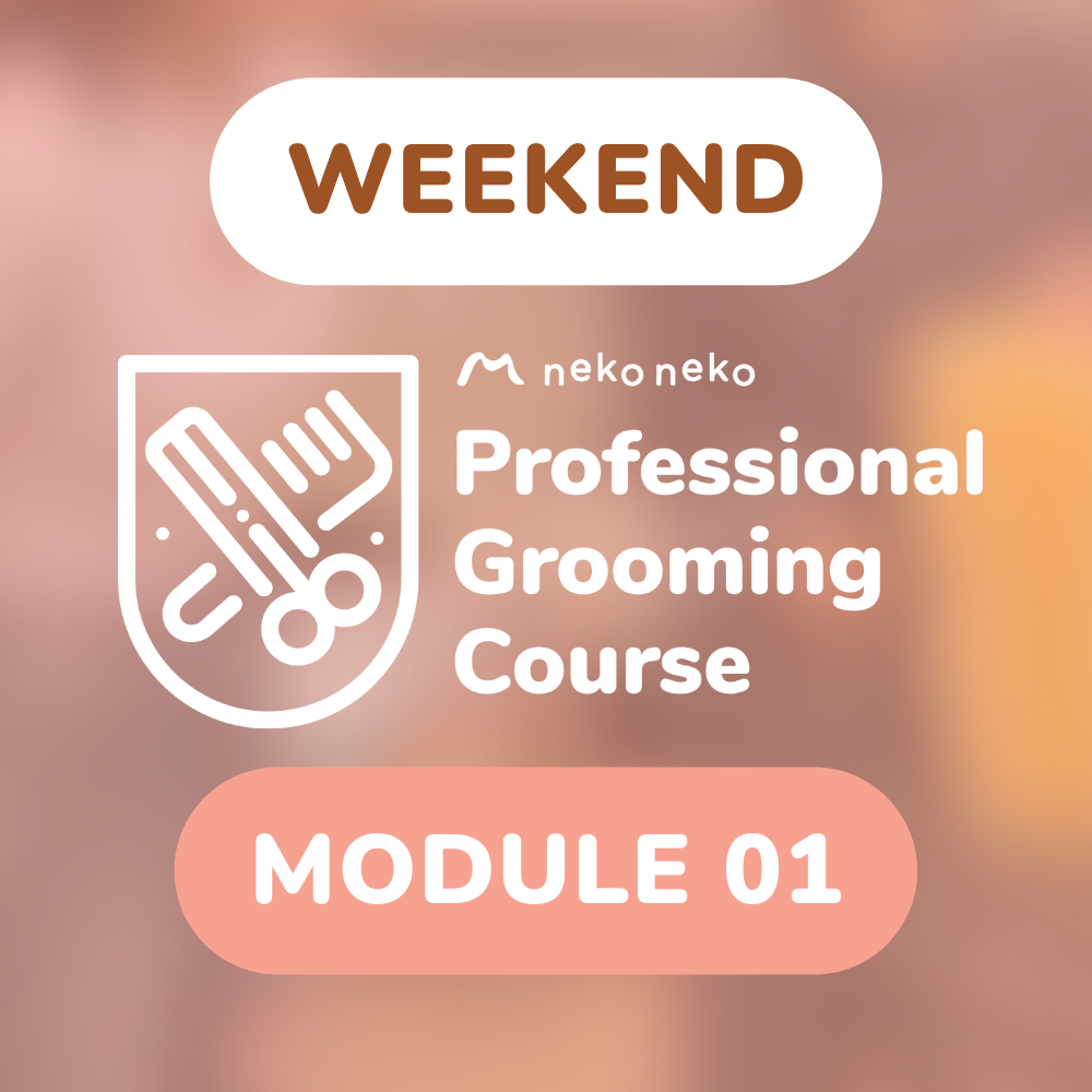 (Weekend) Professional Grooming Class | Module 1 (8 Classes)