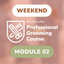 (Weekend) Professional Grooming Class | Module 2 (12 Classes)