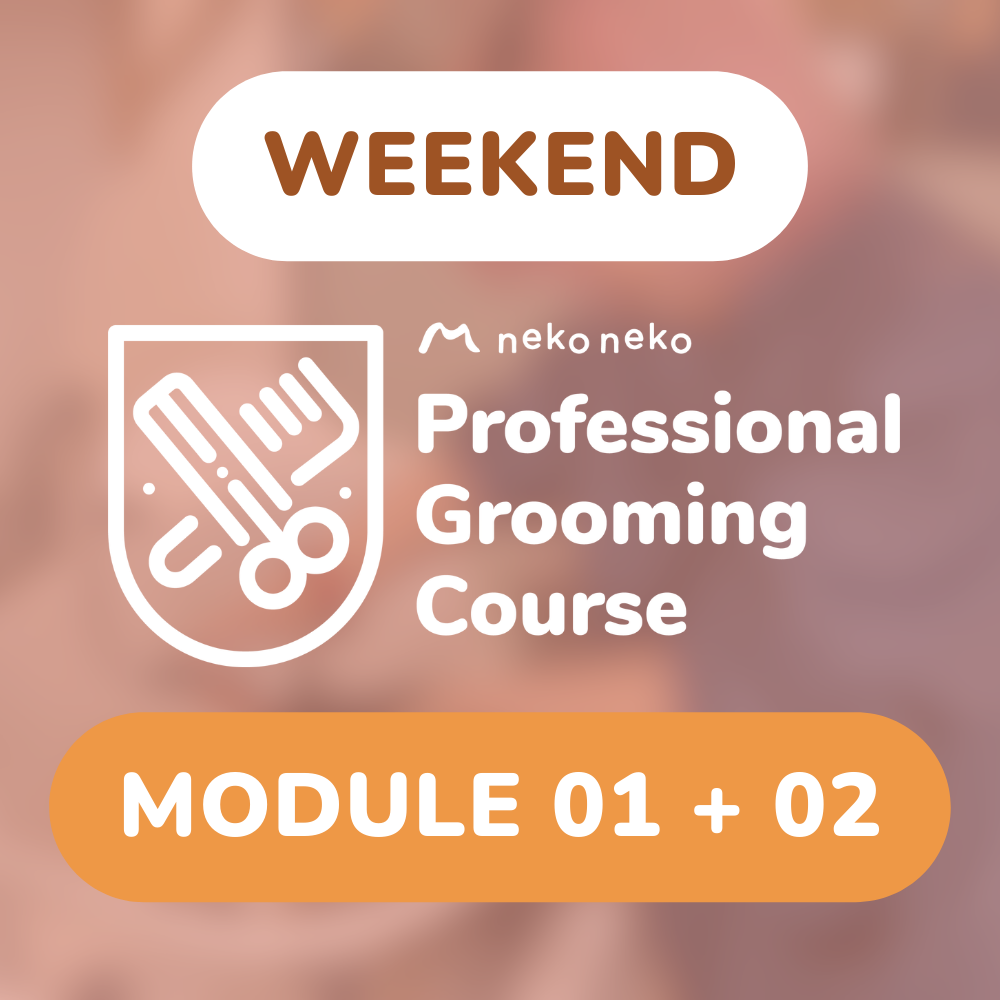 (Weekend) Professional Grooming Course Full Course Bundle