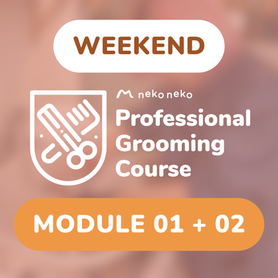 (Weekend) Professional Grooming Course Full Course Bundle
