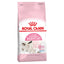 Royal Canin Mother & Baby Cat Dry Cat Food