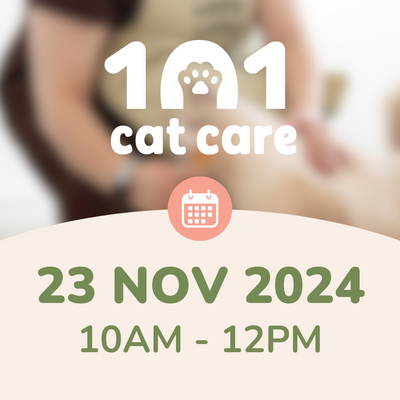 Cat Care 101 - 23 Nov 2024 | 10AM - 12PM