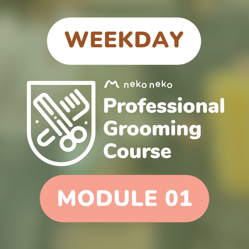 (Weekday) Professional Grooming Class | Module 1 (8 Classes)