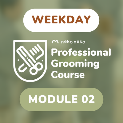 (Weekday) Professional Grooming Class | Module 2 (12 Classes)