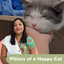 3 Pillars of a Happy Cat