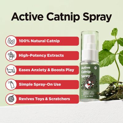 Active Catnip Spray