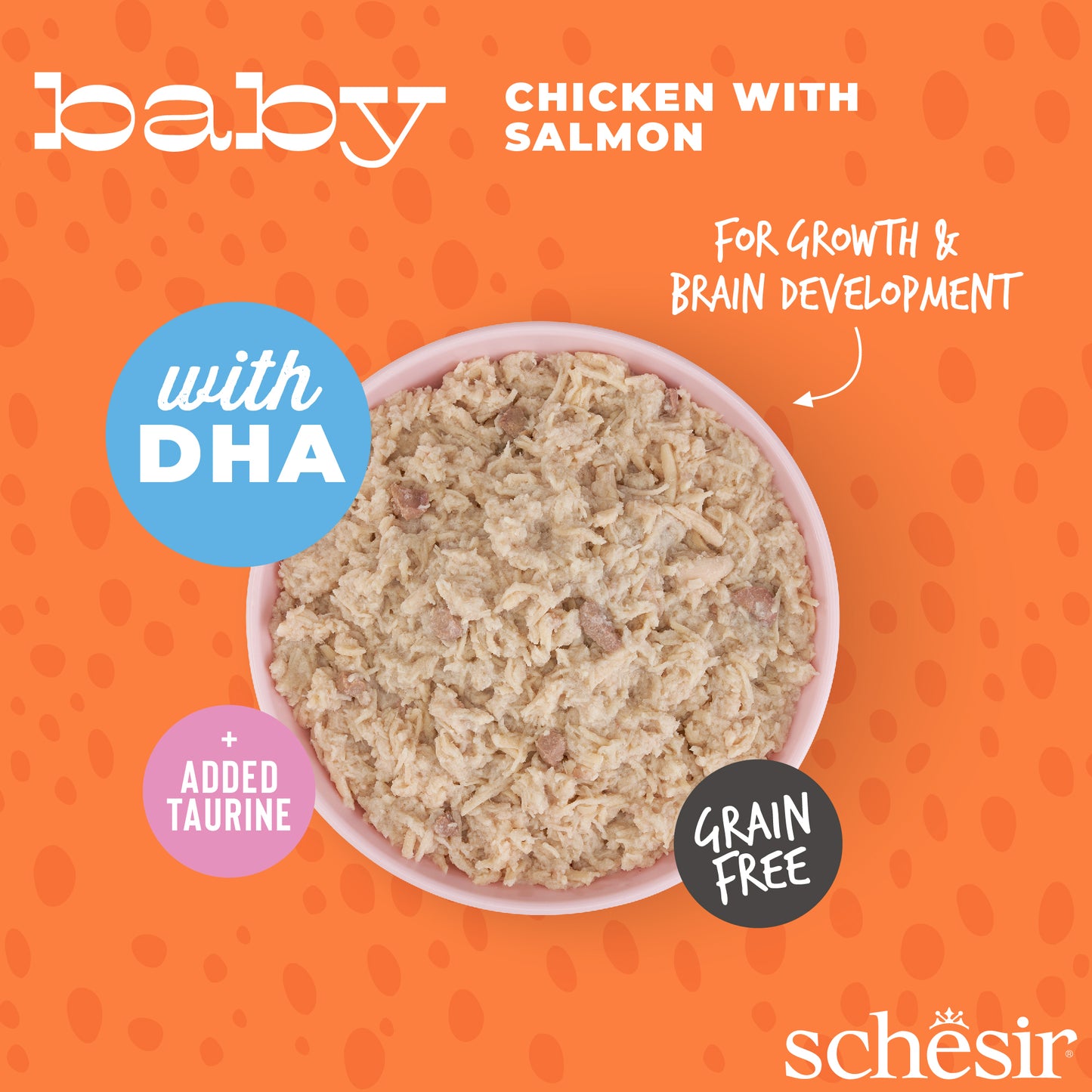 Schesir Baby Wholefood - Chicken with Salmon, 70g