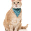 FuzzYard Cat Collar, Bandana & Bowtie Fashion Pack (assorted designs)