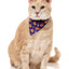 FuzzYard Cat Collar, Bandana & Bowtie Fashion Pack (assorted designs)