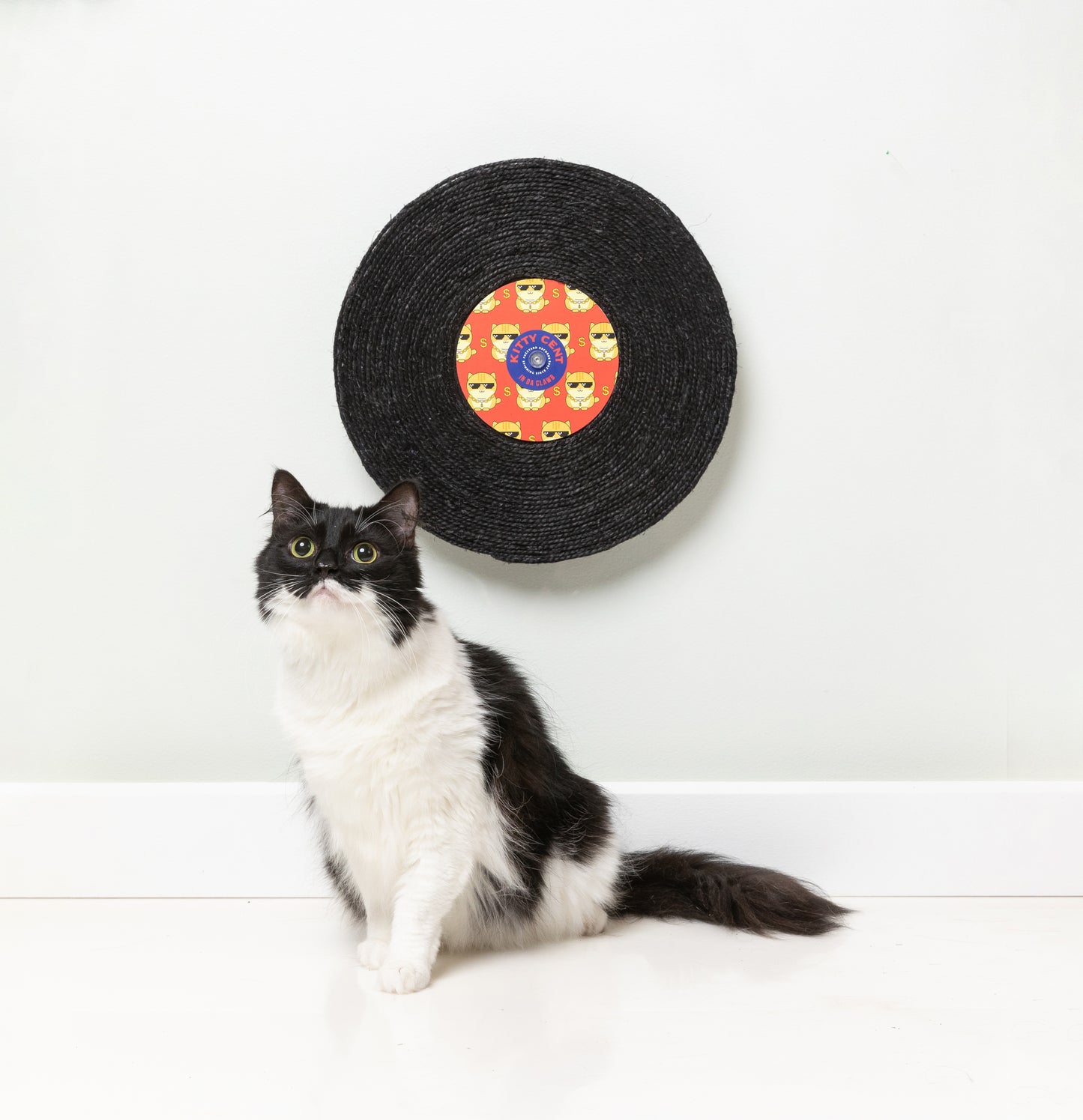 Fuzzyard Record Cat Scratcher (assorted designs)