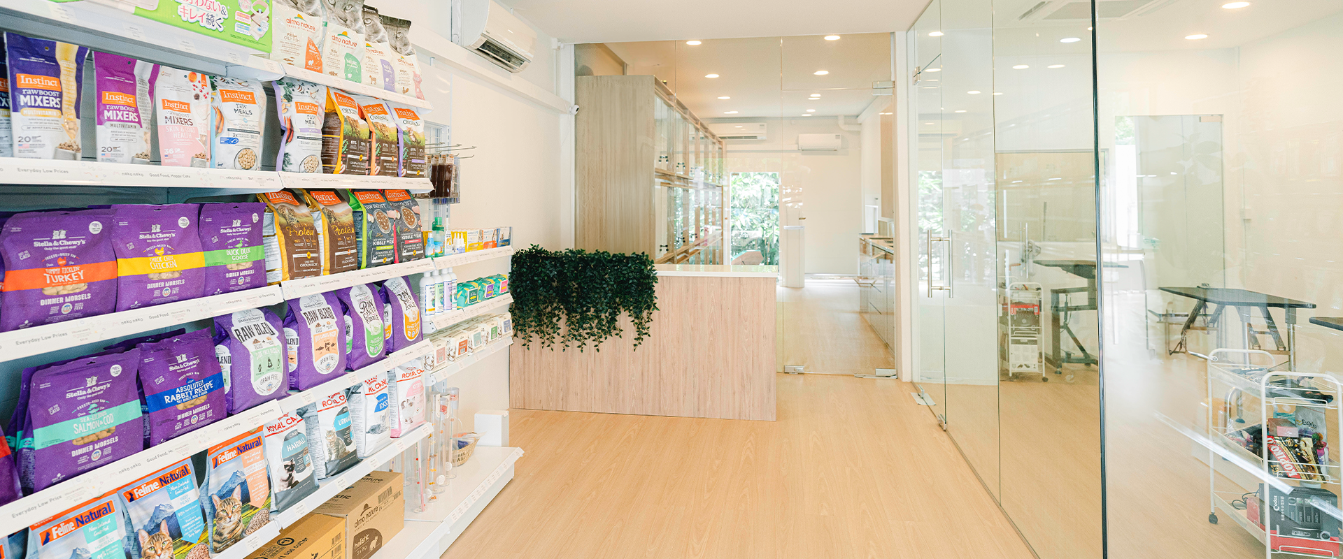 cat grooming, hotel and store in singapore