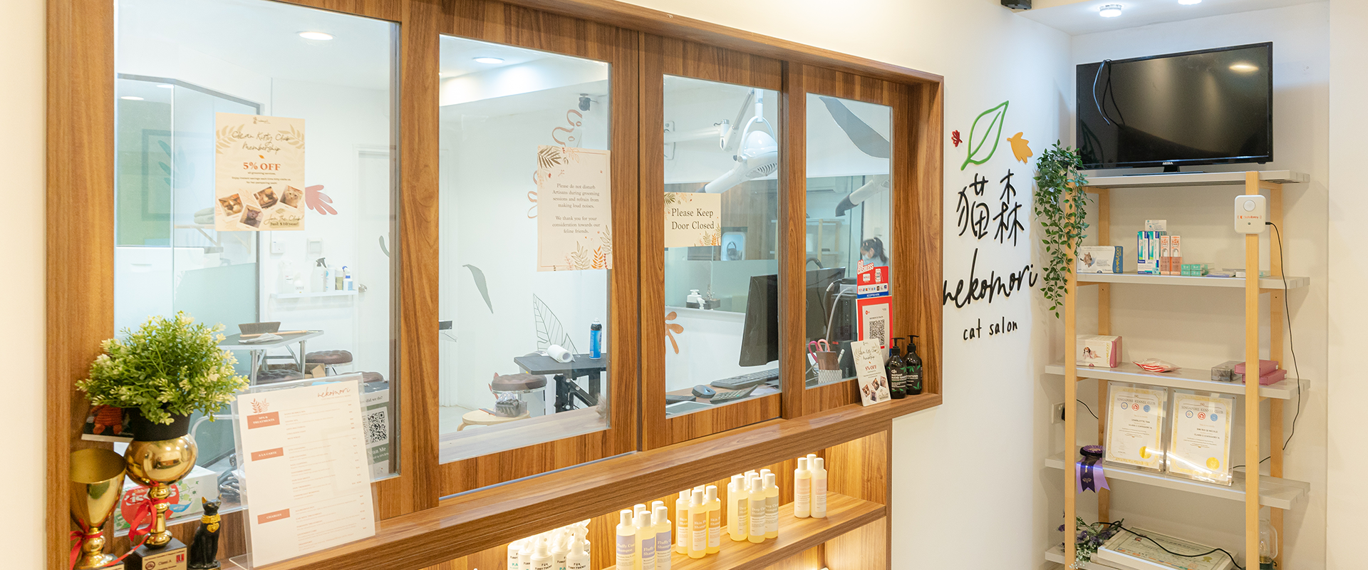 cat grooming, hotel and store in singapore