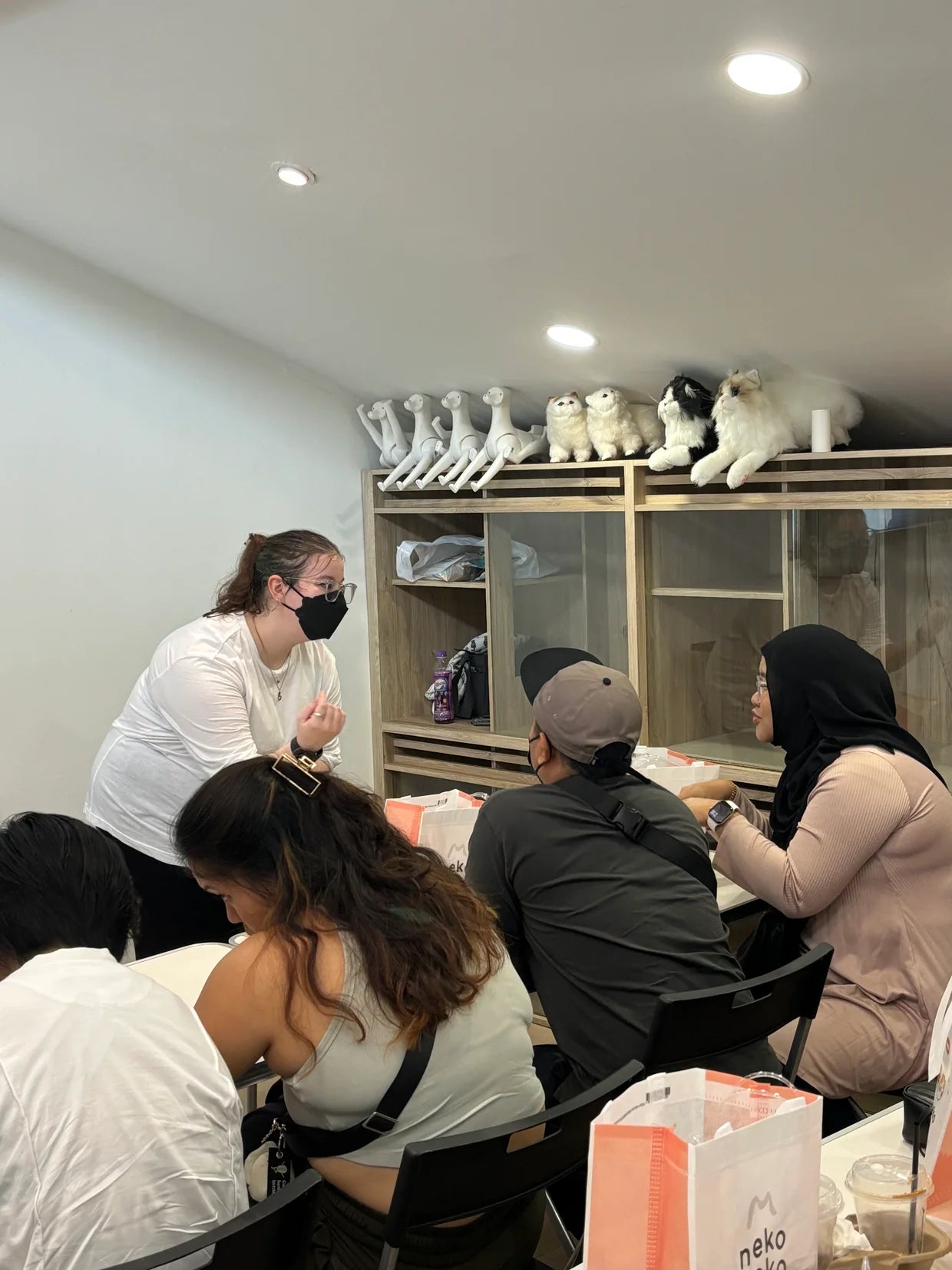 Cat Care 101 Class
