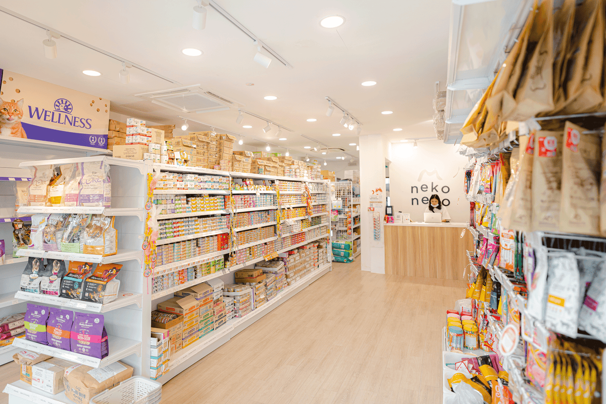 Cat In Store Cat Store – Neko Neko