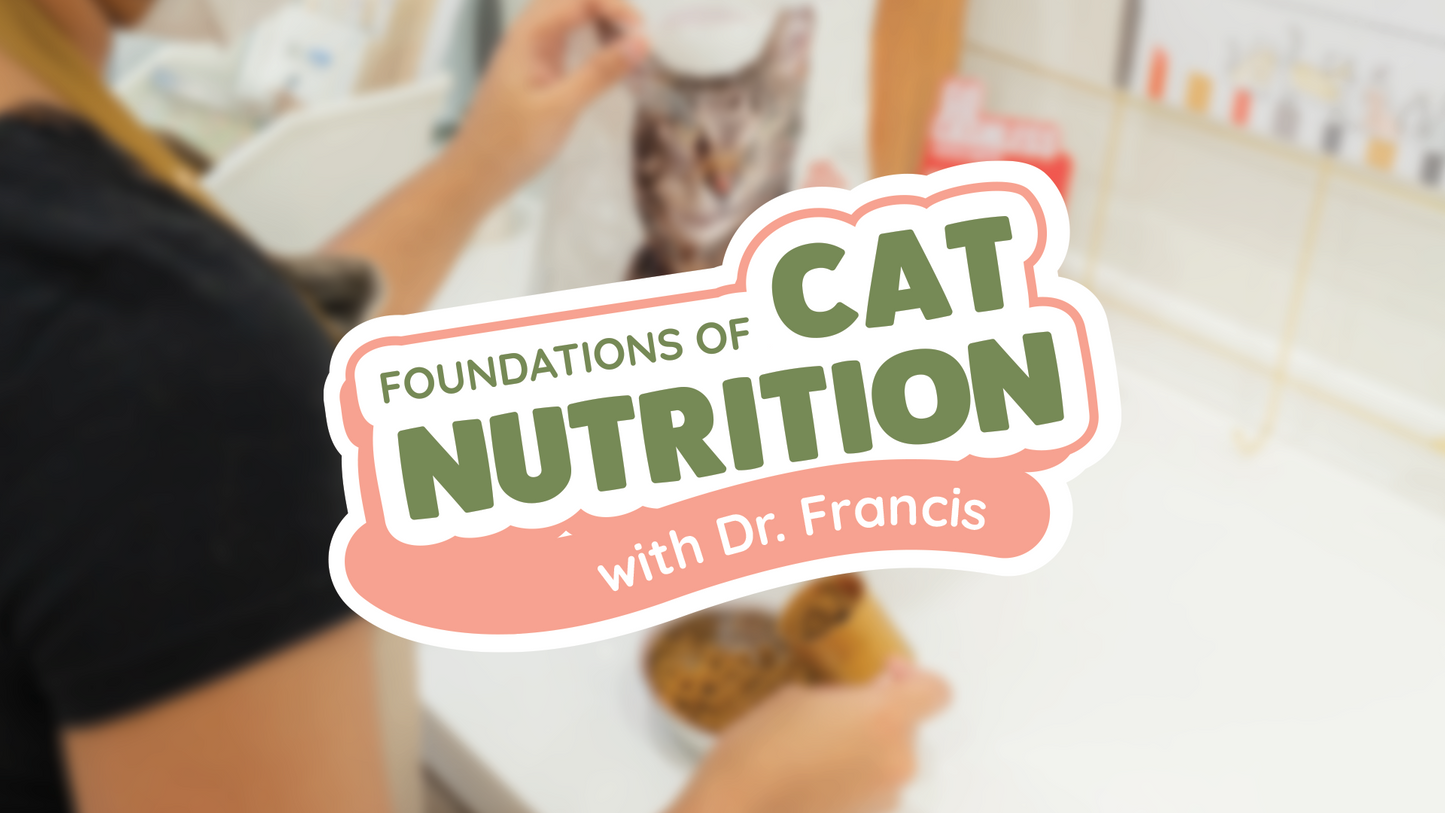 Foundations of Cat Nutrition Neko Neko