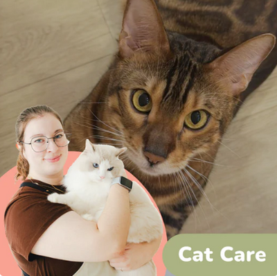 Cat Care 101 Class